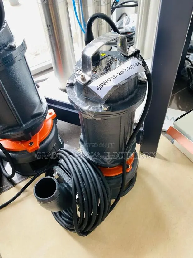 High Voltage Leo 3HP Sewage Water Pump · Photo 1