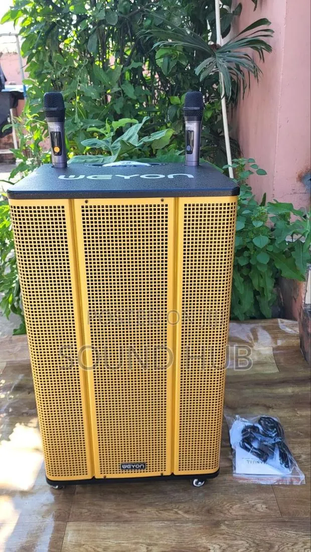 Professional 18'' Trolley Speaker With 2Microphones · Photo 1