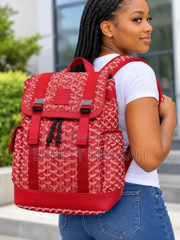 Goyard Backpack · Photo 1
