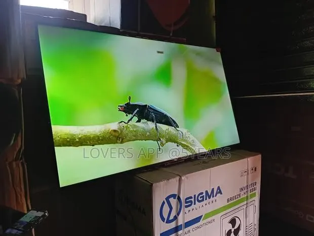 Clearance Deal – TCL 65inches ” Smart Tv Must Go · Photo 1