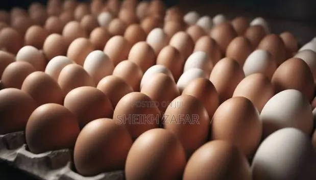 Fresh Farm Eggs – Lohmann Brown Layers (Pick-Up Only) · Photo 1