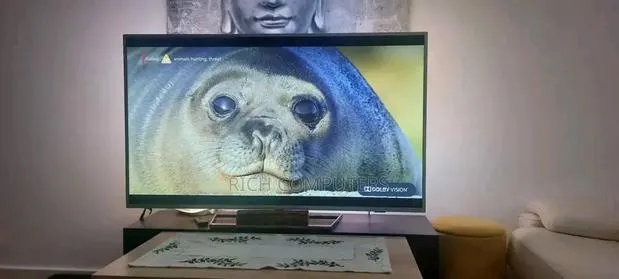 55iches Philips Tv · Photo 1
