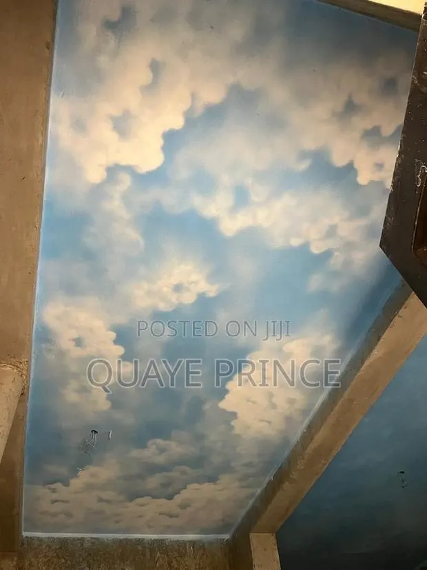 Graffiato,cloud Celling Design,art and Painting · Photo 1