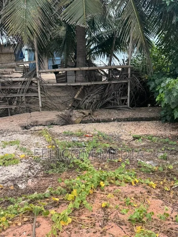 Kokrobite Seafront Land With Existing Structures for Sale · Photo 1