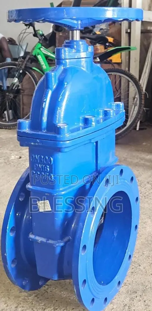 Gate Valve · Photo 1