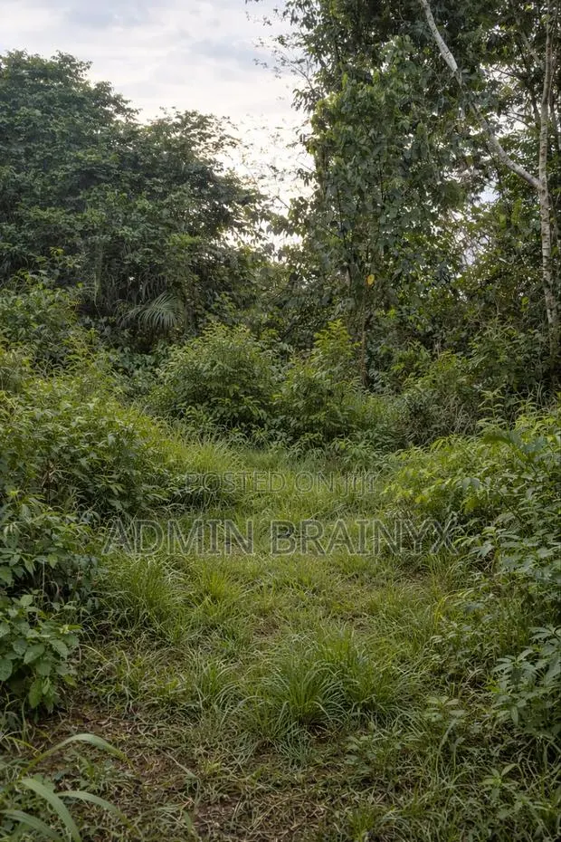 Hot Land for Sale, Ejisu · Photo 1
