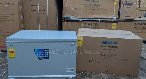 Nexon 400l Chest Freezer · Photo 1