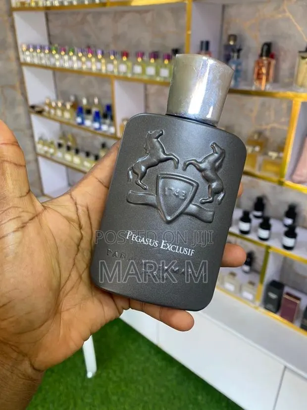 Pegasus Exclusif · Photo 1