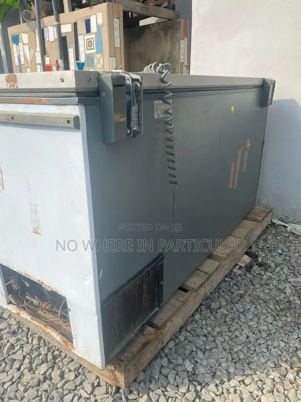 Commercial Chest Freezer · Photo 2
