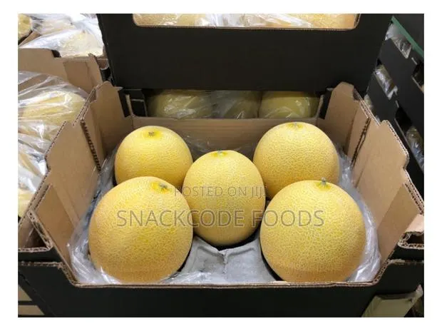 Melon Galia · Photo 1