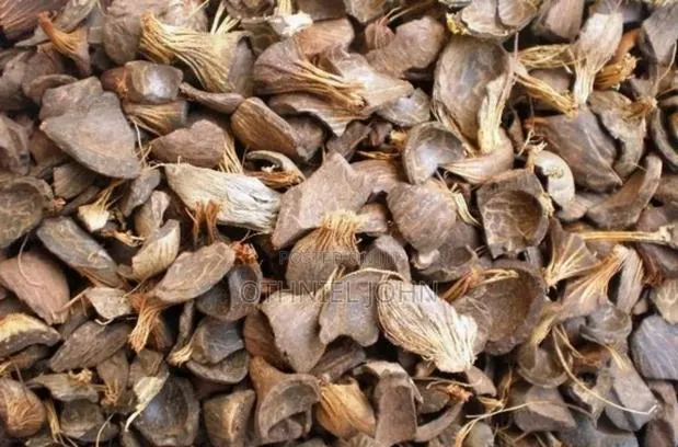 Palm Kernel Shell · Photo 1