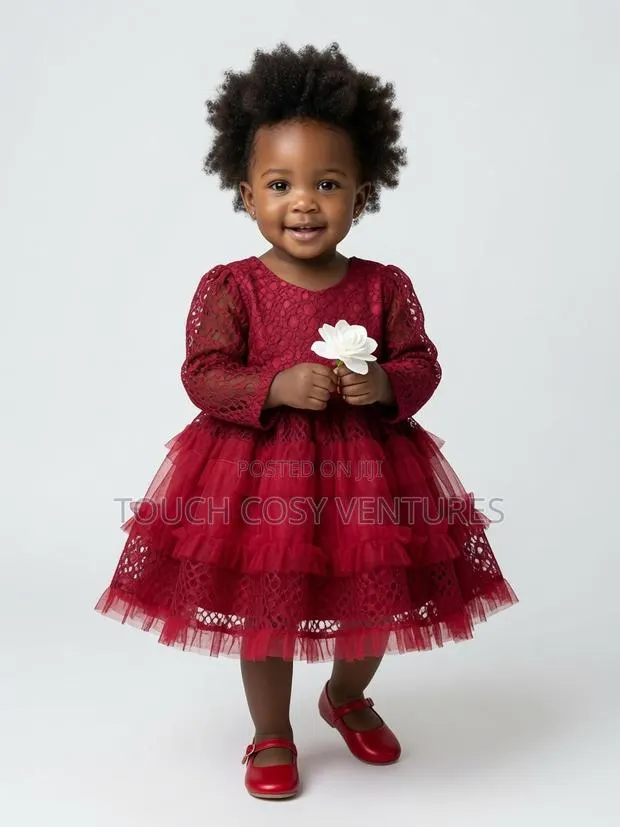 Burgundy Lace Tulle Party Dress- 18m-2 Years · Photo 1