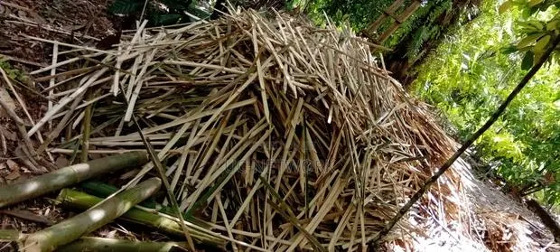 Bamboo Pegs Available for Sale · Photo 1