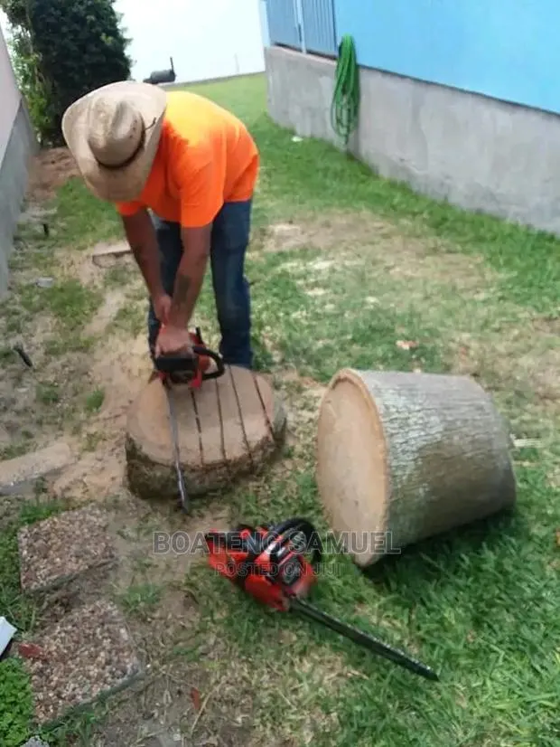 Tree Cutting Service in Accra · Photo 1