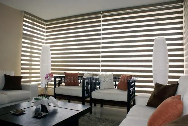 Astro Shine Window Zebra Curtain Blinds · Photo 1