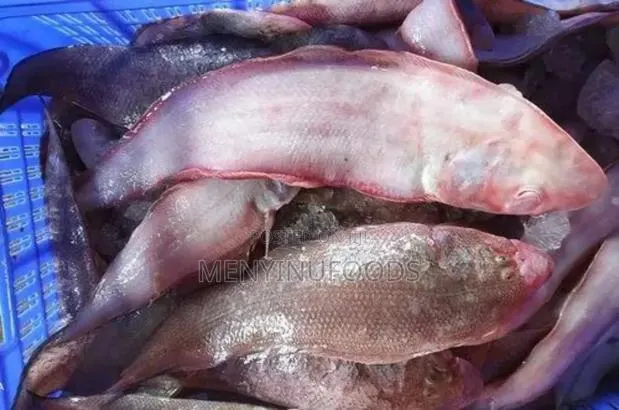 Fresh Sole Fish in Ghana – Wholesale Retail | Direct From the Sea · Photo 1