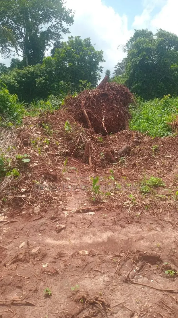 Estate Land for Sale at Kasoa Buduatta Odumase · Photo 1