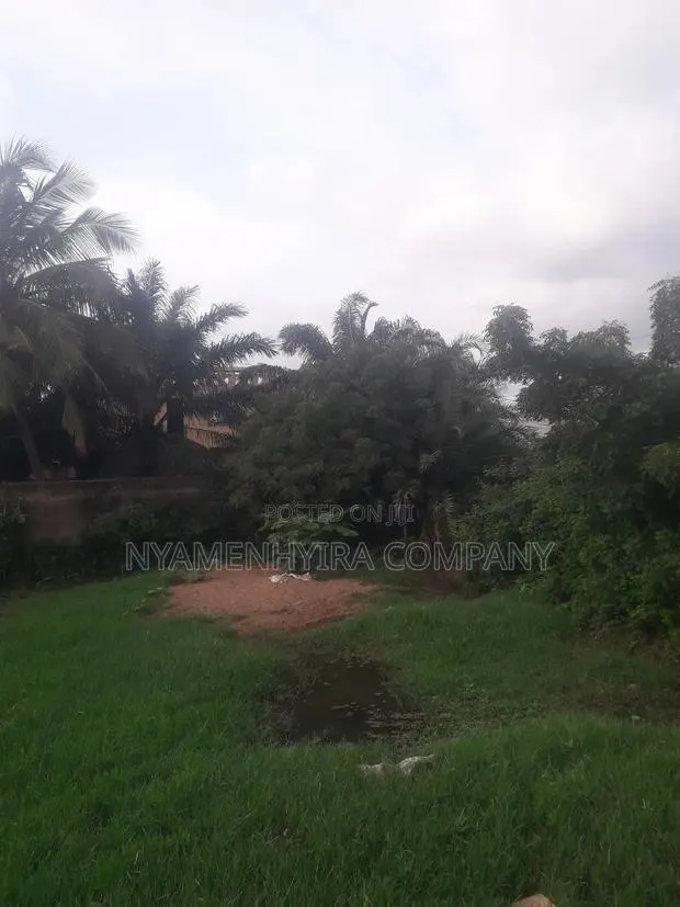 Full Plot of Land for Sale · Photo 3