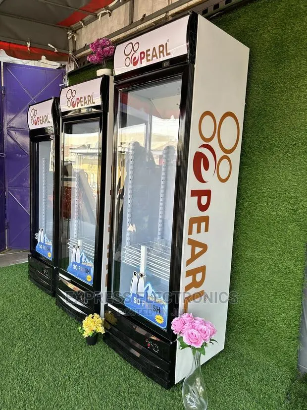 Simple/Elegant Design PVC46 , 318 L Pearl Display Fridge · Photo 1