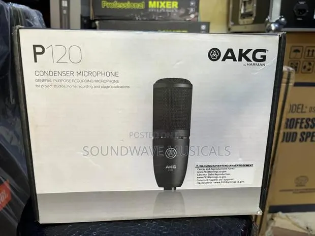 Akg P120 Condenser · Photo 1