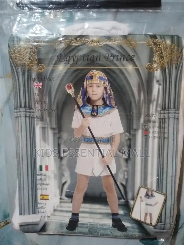 Egyptian Prince Costume for Kids · Photo 1