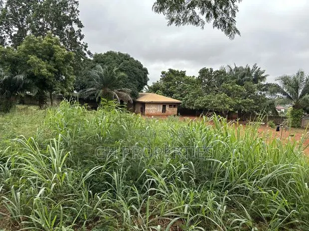 Plot for Sale at Paraku Estate · Photo 1