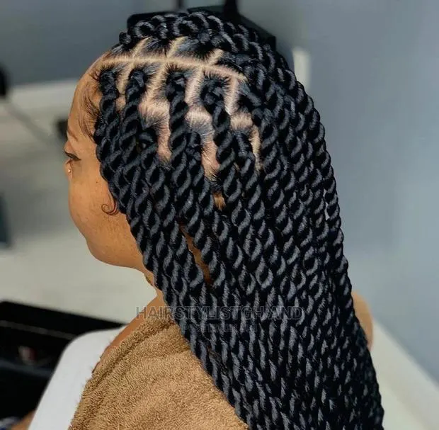 Locs and Braids · Photo 1