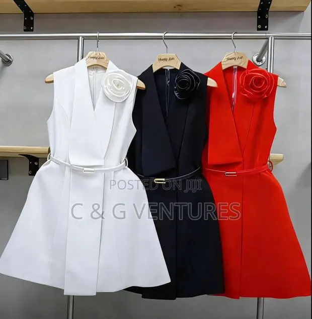 Ladies Gown · Photo 1