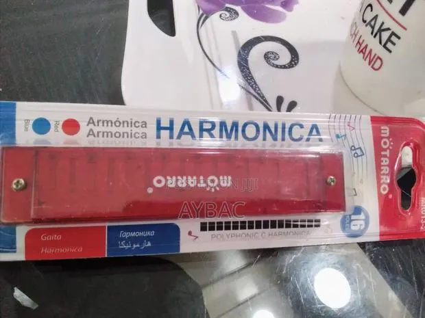 Motarro Harmonica – 24 Holes Polyphonic Mouth Organ