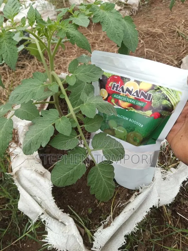 Agricultural Lime(Calcium) Organic Fertiliser · Photo 4