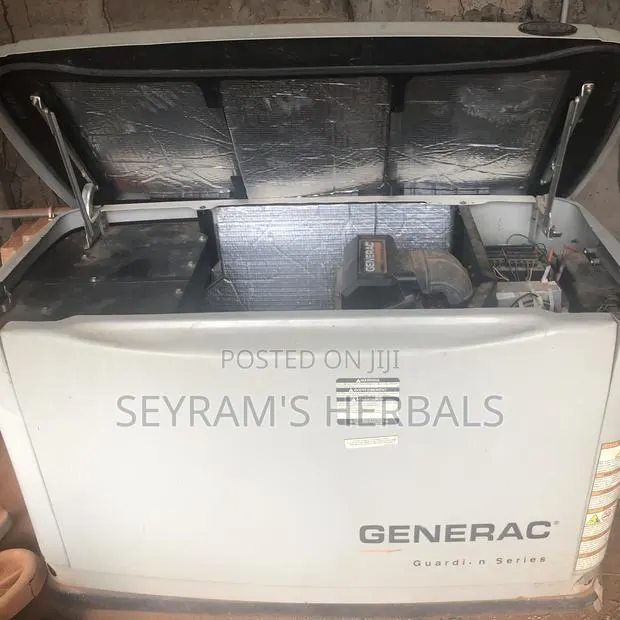 Generac Generator · Photo 1