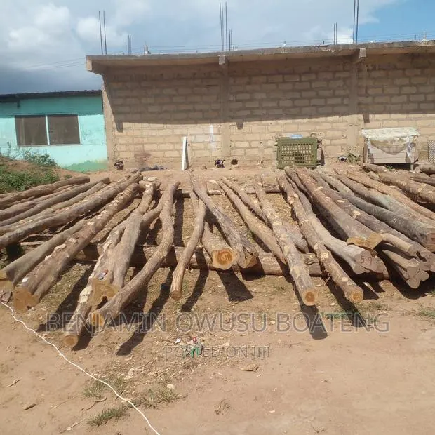 Treated Light Poles For Sale And We Install Them Too · Photo 1