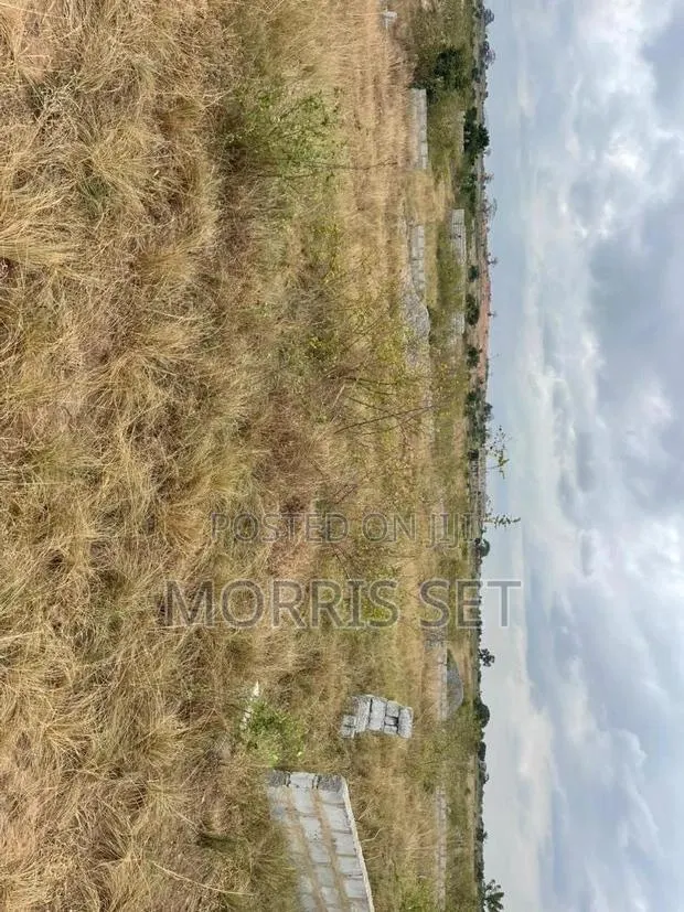 Registered Land for Sale at Apolonia City · Photo 1