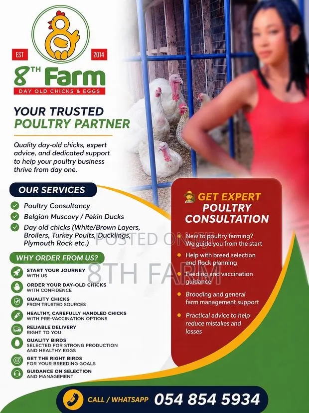 Sale of Day Old Chicks / Poultry/Animal Farming Consultancy · Photo 1