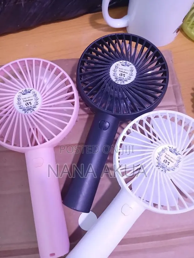 Branded Hand Fans as Souvenirs · Photo 1