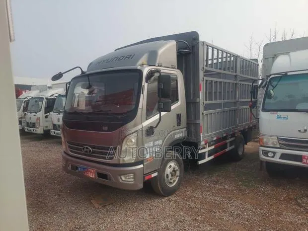 2021 Hyundai Hongtu 500 · Photo 1