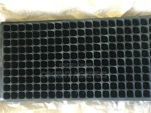 Seedlings/Nursery Trays (200 Cells) · Photo 1