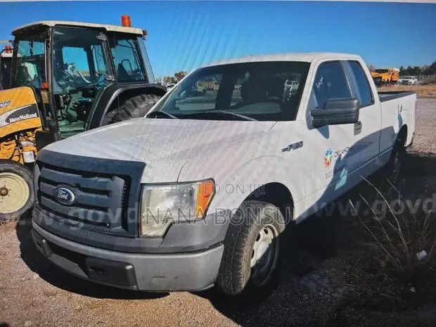 Ford F-150 2010 White · Photo 1