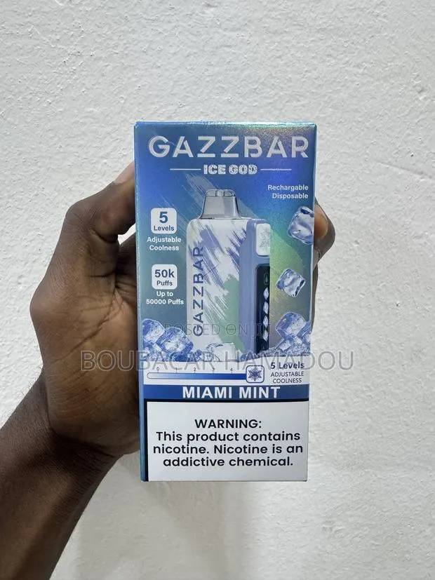 Gazzbar Ice 50000 Puffs Rechargeable Disposable Vape-Mint · Photo 1