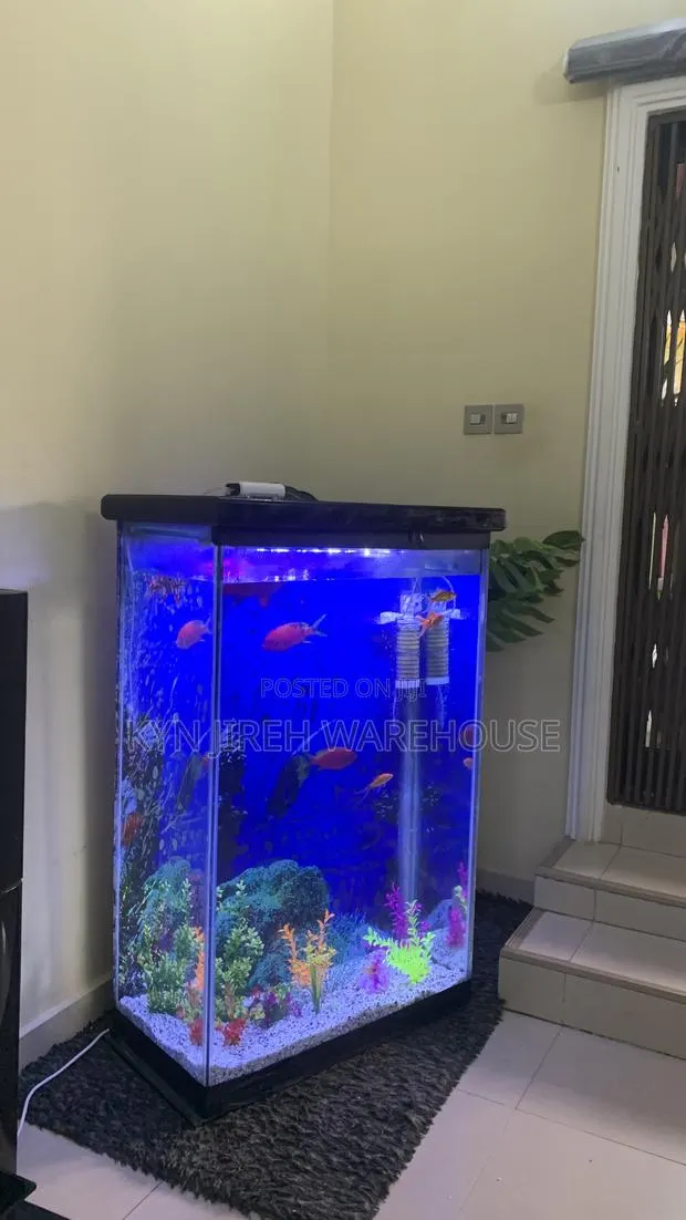 Aquaman Aquarium With Fishes · Photo 1