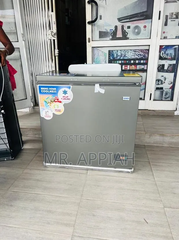 Unique Nasco Nas250fl Single Door Electric Chest(Gray)198L · Photo 1