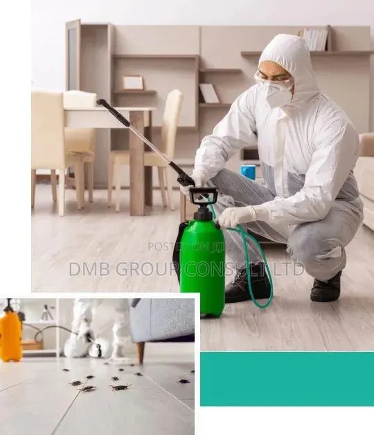 No1 Expect Fumigation · Photo 1