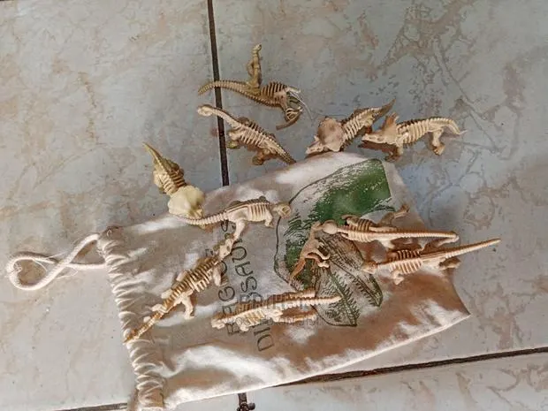 Kids Learning Animal Kingdom Skeleton · Photo 1