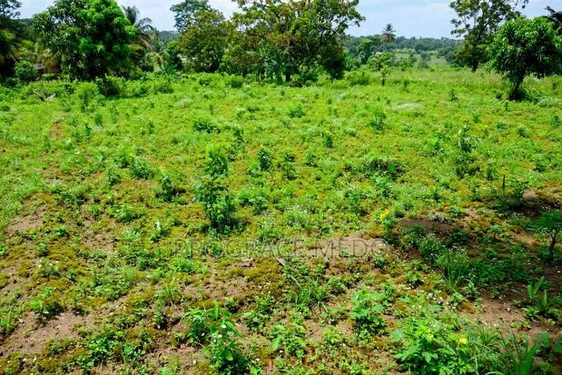 Noble Estate Land for Sale Off Prampram · Photo 1