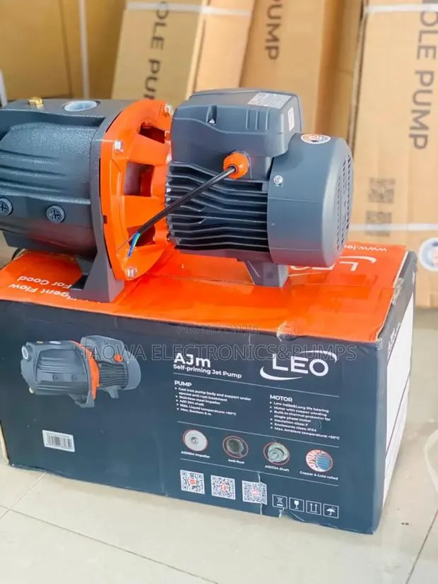 Fantastic ¬Leo 1hp Cast Pump · Photo 1
