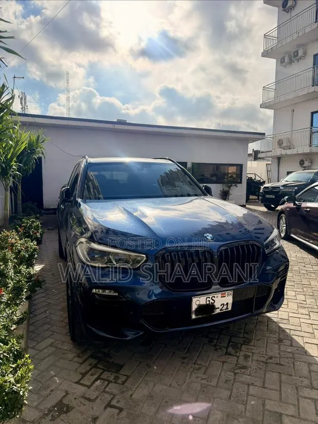BMW X5 xDrive40i AWD 2019 Blue · Photo 1