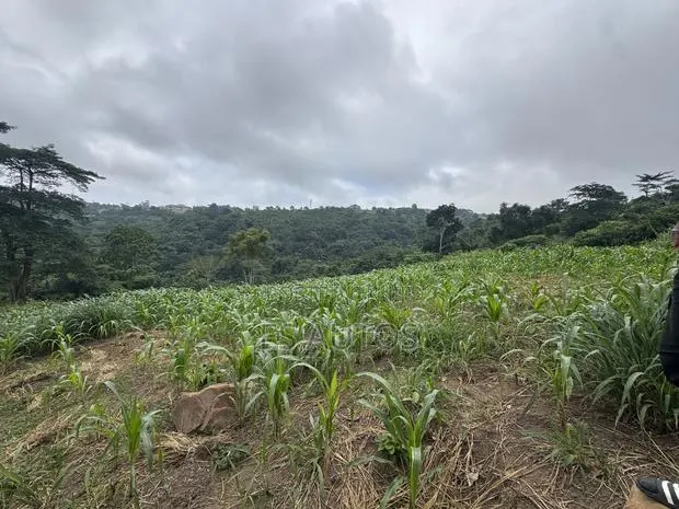 Lands for Sale · Photo 1