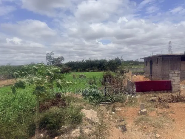 Lands for Sale at Trasacco Just Around the Motoway · Photo 1