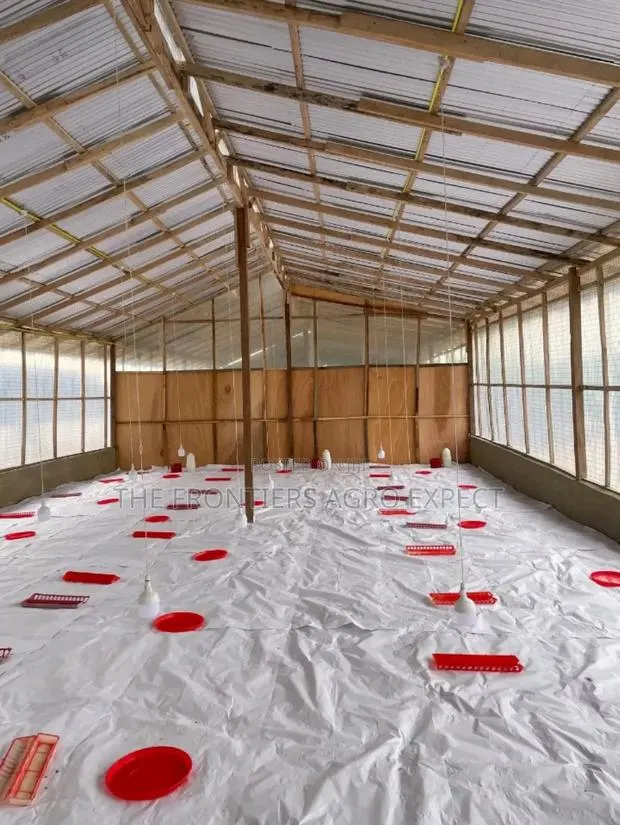 Poultry Coop Construction · Photo 1