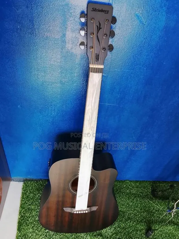 Semi Acoustic Guitar · Photo 1